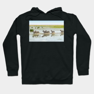 Zebras Crossing The Swamp Hoodie